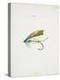 A Fishing Fly and Hook, Fishing Tackle-Fraser Sandeman-Stretched Canvas