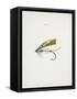 A Fishing Fly and Hook, Fishing Tackle-Fraser Sandeman-Framed Stretched Canvas