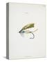 A Fishing Fly and Hook, Fishing Tackle-Fraser Sandeman-Stretched Canvas