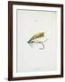 A Fishing Fly and Hook, Fishing Tackle-Fraser Sandeman-Framed Giclee Print