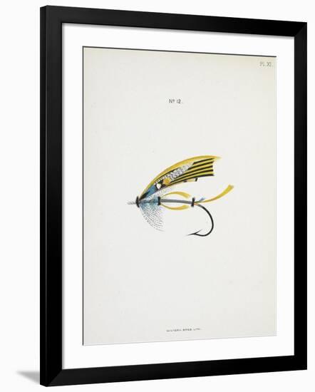 A Fishing Fly and Hook, Fishing Tackle-Fraser Sandeman-Framed Giclee Print
