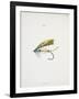 A Fishing Fly and Hook, Fishing Tackle-Fraser Sandeman-Framed Giclee Print