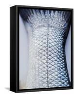 A Fishtail-Herbert Lehmann-Framed Stretched Canvas