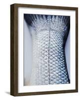 A Fishtail-Herbert Lehmann-Framed Photographic Print