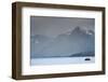 A fjord in the Darwin Mountain range, Alberto de Agostini National Park, Tierra del Fuego, Chilean -Alex Robinson-Framed Photographic Print