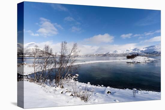 A Fjord Near Lodingen, Nordland, Arctic, Norway, Scandinavia-Sergio Pitamitz-Stretched Canvas