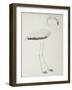 A Flamingo, C.1780-null-Framed Giclee Print