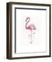 A Flamingo’s Fancy-Sillier than Sally-Framed Art Print