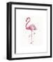 A Flamingo’s Fancy-Sillier than Sally-Framed Art Print