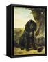 A Flat-Coated Retriever by a Tree-Henriette Ronner-Knip-Framed Stretched Canvas