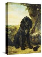 A Flat-Coated Retriever by a Tree-Henriette Ronner-Knip-Stretched Canvas