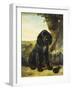 A Flat-Coated Retriever by a Tree-Henriette Ronner-Knip-Framed Giclee Print