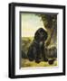 A Flat-Coated Retriever by a Tree-Henriette Ronner-Knip-Framed Premium Giclee Print