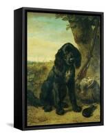 A flat coated Retriever by a tree-Henriette Ronner-Knip-Framed Stretched Canvas