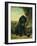 A flat coated Retriever by a tree-Henriette Ronner-Knip-Framed Giclee Print