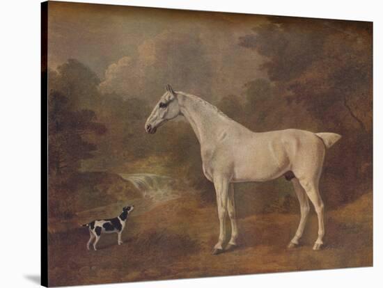 'A Flea-Bitten Grey and a Spotted Terrier', 1803-John Boultbee-Stretched Canvas