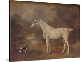 'A Flea-Bitten Grey and a Spotted Terrier', 1803-John Boultbee-Stretched Canvas