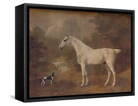 'A Flea-Bitten Grey and a Spotted Terrier', 1803-John Boultbee-Framed Stretched Canvas