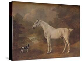 'A Flea-Bitten Grey and a Spotted Terrier', 1803-John Boultbee-Stretched Canvas