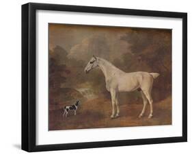 'A Flea-Bitten Grey and a Spotted Terrier', 1803-John Boultbee-Framed Giclee Print