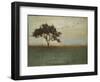 A Fleeting Glimpse-Liz Jardine-Framed Art Print