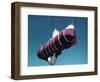 A Floating Crane Lifting a Bathyscaph-null-Framed Photographic Print