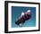 A Floating Crane Lifting a Bathyscaph-null-Framed Photographic Print