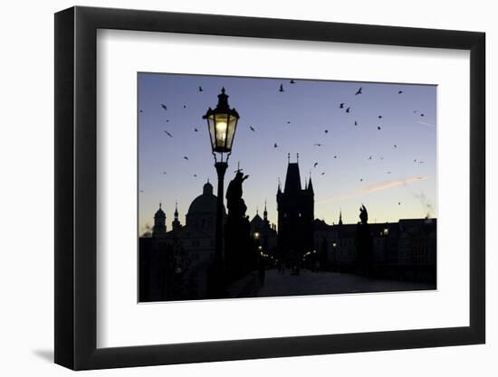 A flock of birds flies on the historical Charles Bridge on Vltava River at dawn, UNESCO World Herit-Roberto Moiola-Framed Photographic Print