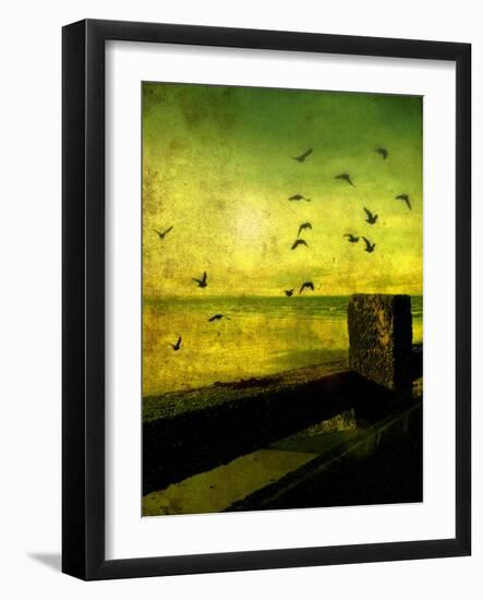 A Flock of Birds Flying over a Beach Scene with Breakers-Cristina Carra Caso-Framed Photographic Print