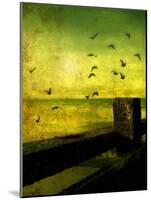 A Flock of Birds Flying over a Beach Scene with Breakers-Cristina Carra Caso-Mounted Photographic Print