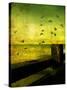 A Flock of Birds Flying over a Beach Scene with Breakers-Cristina Carra Caso-Stretched Canvas