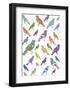 A Flock of Birds-Clara Wells-Framed Giclee Print