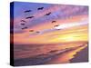 A Flock of Brown Pelicans Fly over the Beach as the Sun Sets-Steve Bower-Stretched Canvas