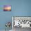 A Flock of Brown Pelicans Fly over the Beach as the Sun Sets-Steve Bower-Photographic Print displayed on a wall