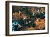 A Flock of Common Starlings, Sturnus Vulgaris, in Sunset Flight with Autumn Colored Trees-Alex Saberi-Framed Photographic Print