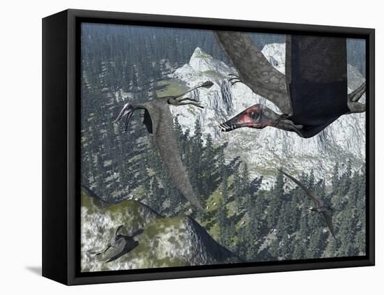 A Flock of Dorygnathus-Stocktrek Images-Framed Stretched Canvas