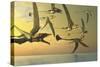A Flock of Eudimorphodon Flying Reptiles-Stocktrek Images-Stretched Canvas