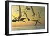 A Flock of Eudimorphodon Flying Reptiles-Stocktrek Images-Framed Art Print