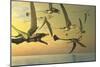 A Flock of Eudimorphodon Flying Reptiles-Stocktrek Images-Mounted Art Print