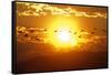 A Flock of Geese Fly at Sunrise in Boise, Idaho, USA-David R. Frazier-Framed Stretched Canvas