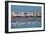 A Flock of Greater Flamingos Near Walvis Bay, Namibia-Alex Saberi-Framed Photographic Print