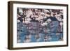 A Flock of Greater Flamingos Near Walvis Bay, Namibia-Alex Saberi-Framed Photographic Print