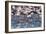 A Flock of Greater Flamingos Near Walvis Bay, Namibia-Alex Saberi-Framed Photographic Print