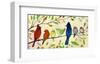 A Flock of Many Colors-Jennifer Lommers-Framed Art Print