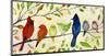 A Flock of Many Colors-Jennifer Lommers-Mounted Art Print