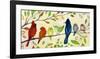 A Flock of Many Colors-Jennifer Lommers-Framed Giclee Print