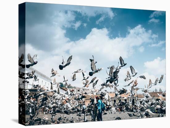 A flock of pigeons fly in front of San Francisco Square in the heart of Quito, Ecuador, South Ameri-Alexandre Rotenberg-Stretched Canvas