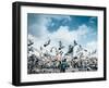 A flock of pigeons fly in front of San Francisco Square in the heart of Quito, Ecuador, South Ameri-Alexandre Rotenberg-Framed Photographic Print