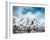 A flock of pigeons fly in front of San Francisco Square in the heart of Quito, Ecuador, South Ameri-Alexandre Rotenberg-Framed Photographic Print