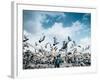 A flock of pigeons fly in front of San Francisco Square in the heart of Quito, Ecuador, South Ameri-Alexandre Rotenberg-Framed Photographic Print